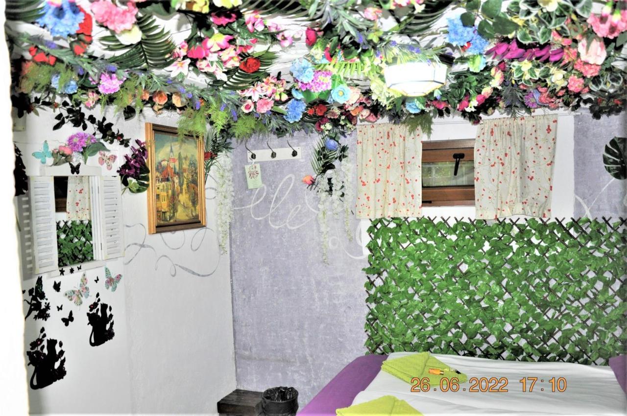 Social Guest House Szófia Kültér fotó